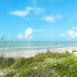 article image - 